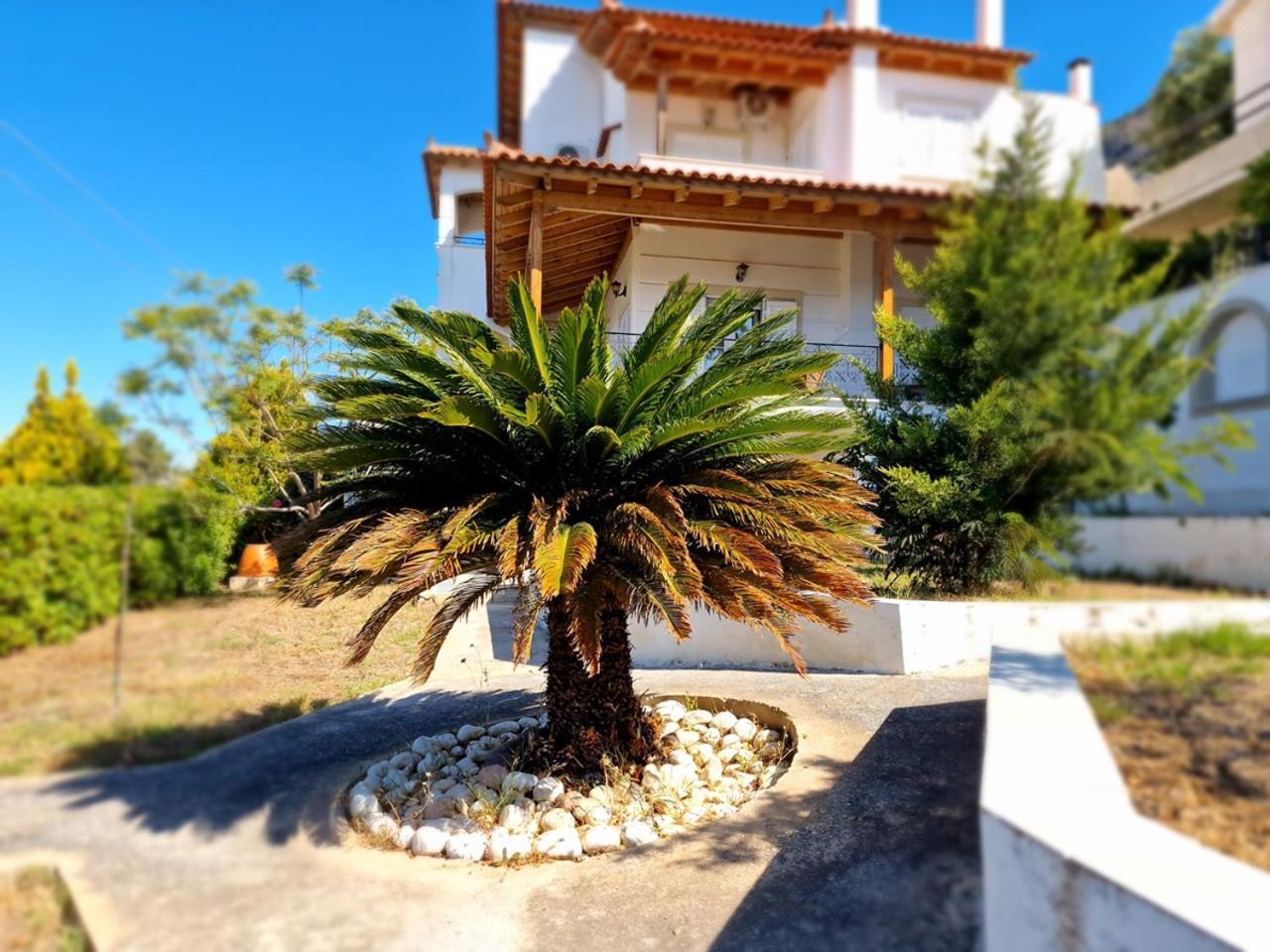 The Mirador Boutique Villa With Scenic Sea View Pórto Ráfti Dış mekan fotoğraf